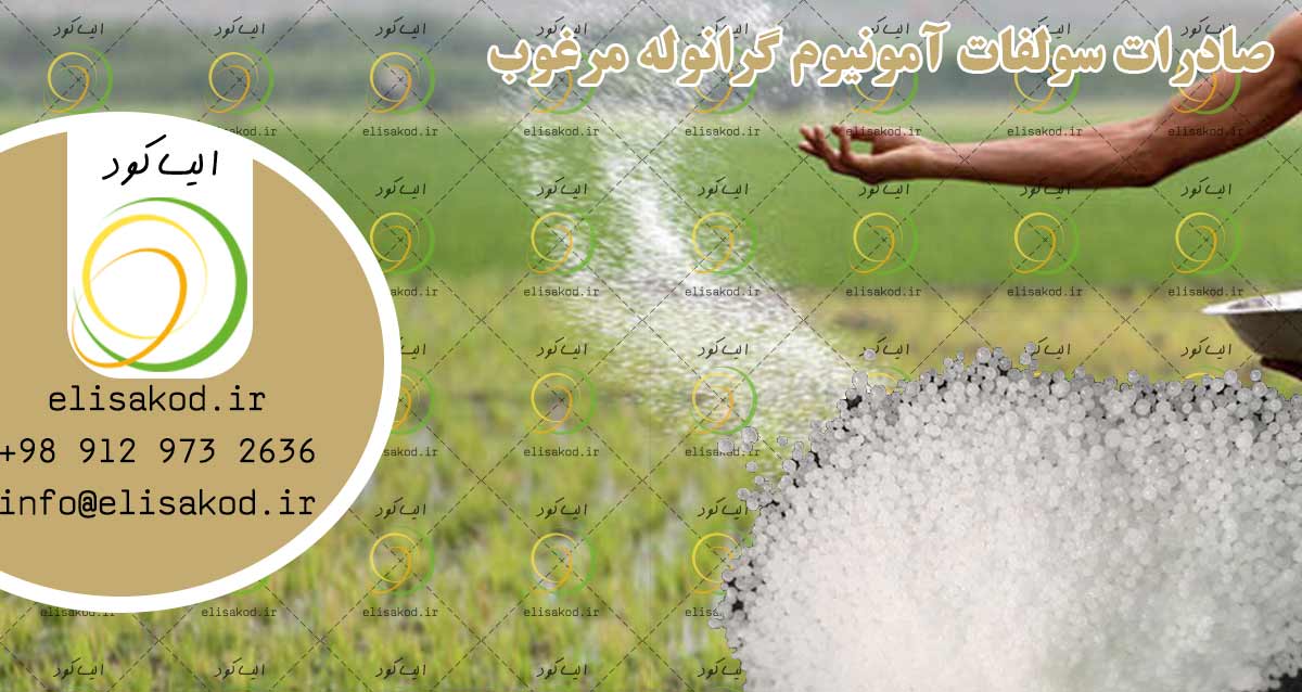 صادرات سولفات آمونیوم گرانوله مرغوب